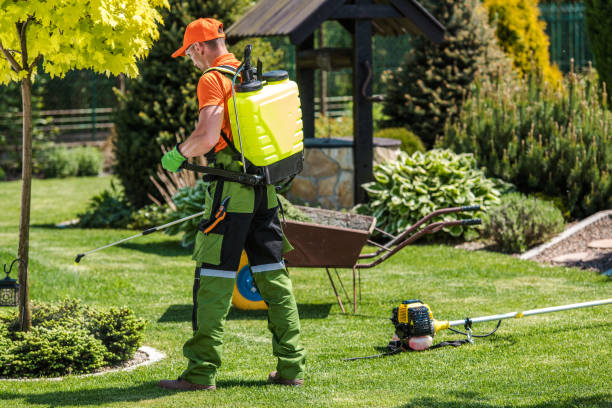 Lawn Pest Control in Montoursville, PA